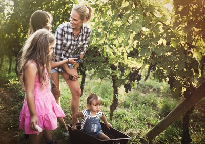 5 Seasonal Activities for the Family